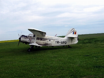 Wing old airplane aircraft Photo