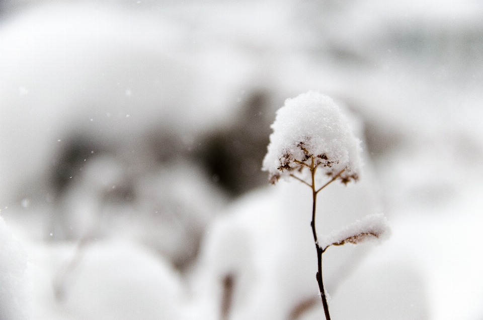 Bifurquer neige froid hiver