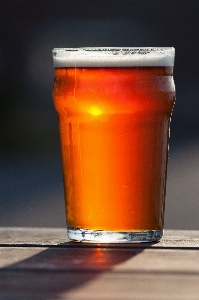 Glass drink beer alcohol Photo