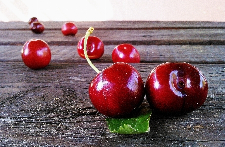 Apple plant fruit berry Photo