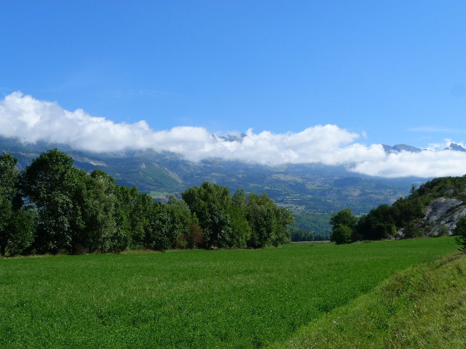 Landscape nature grass mountain