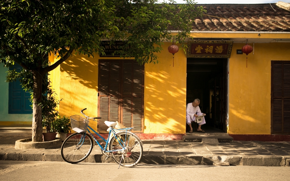 Man tree architecture road