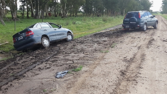 Path car field asphalt Photo