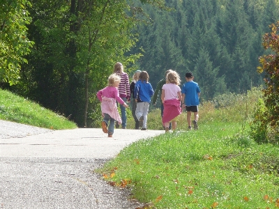 Zdjęcie Krajobraz natura las pieszy