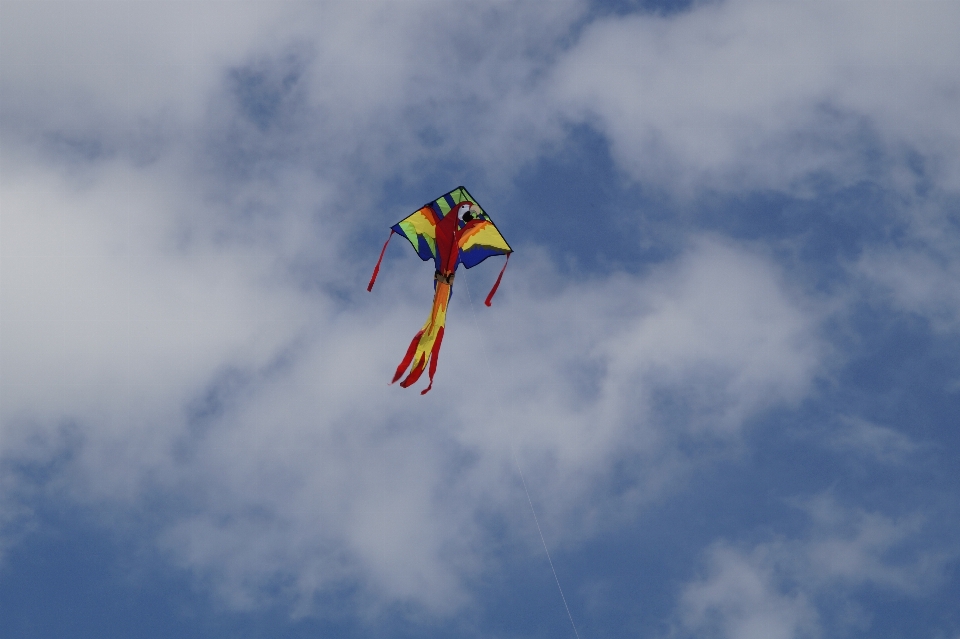 Cielo vento volare autunno