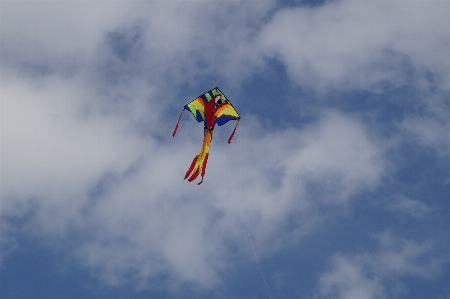 空 風 飛ぶ 秋 写真