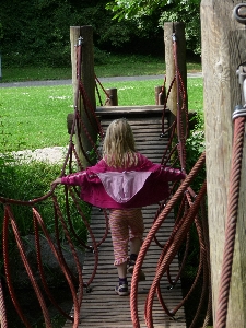 Wood bridge play flower Photo