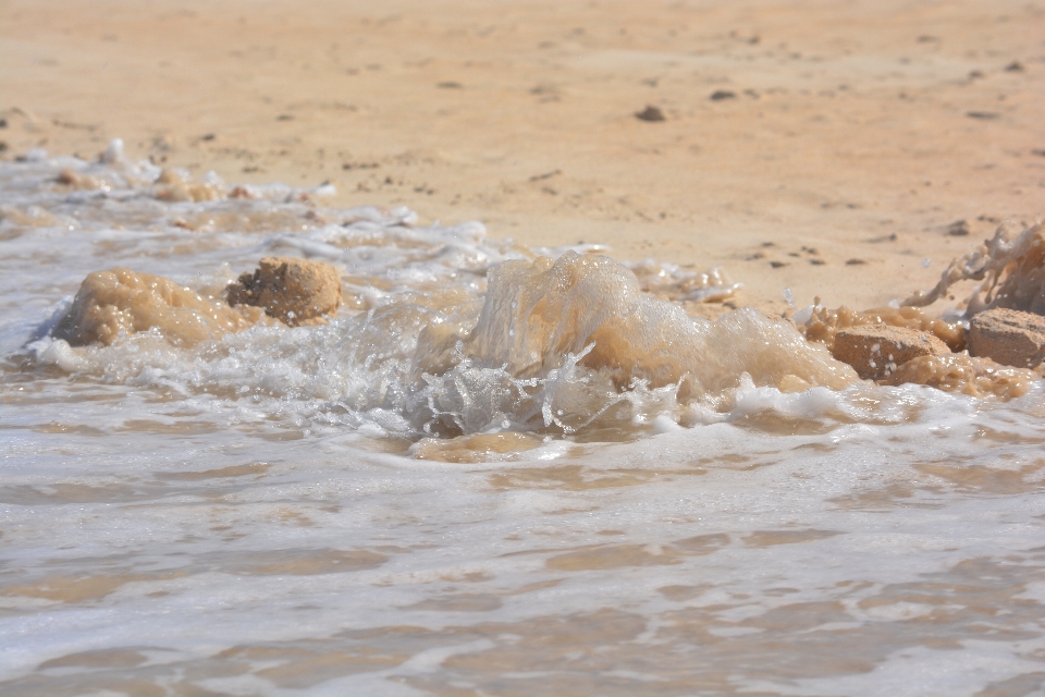 Beach sea coast water