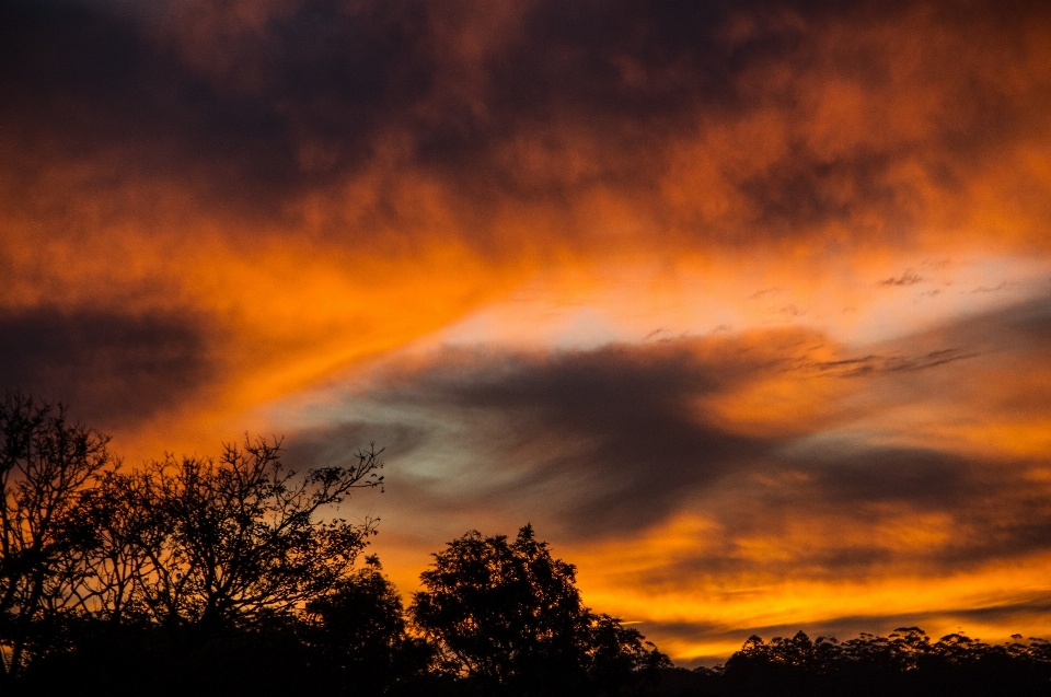 Orizzonte nube cielo sole