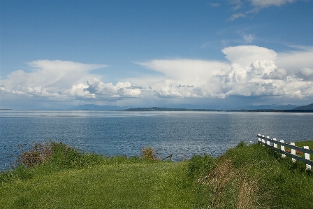 Landscape sea coast nature Photo