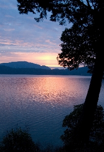 Sea tree nature outdoor Photo