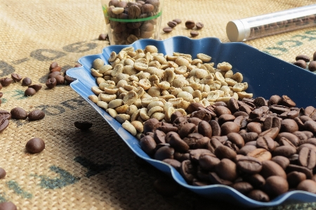 コーヒー 食べ物 緑 生産 写真