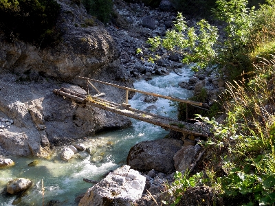 Water forest rock waterfall Photo