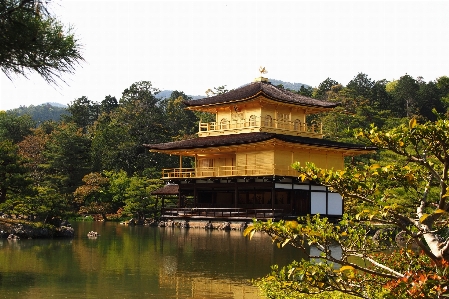 Foto Alam hutan danau bangunan