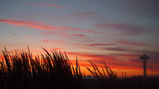 Photo Nature horizon nuage ciel