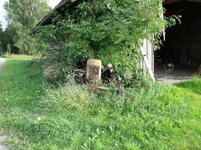 木 草 植物 トラクター 写真