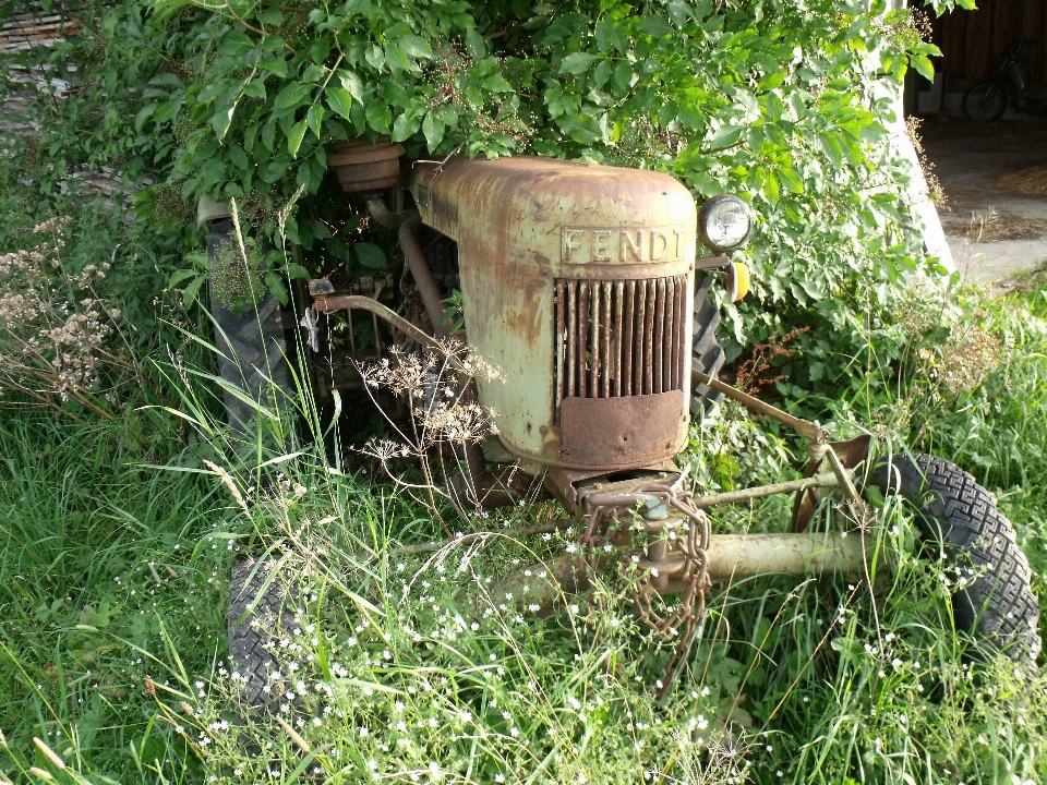 árbol naturaleza césped tractor