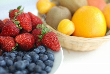 Group plant fruit berry Photo