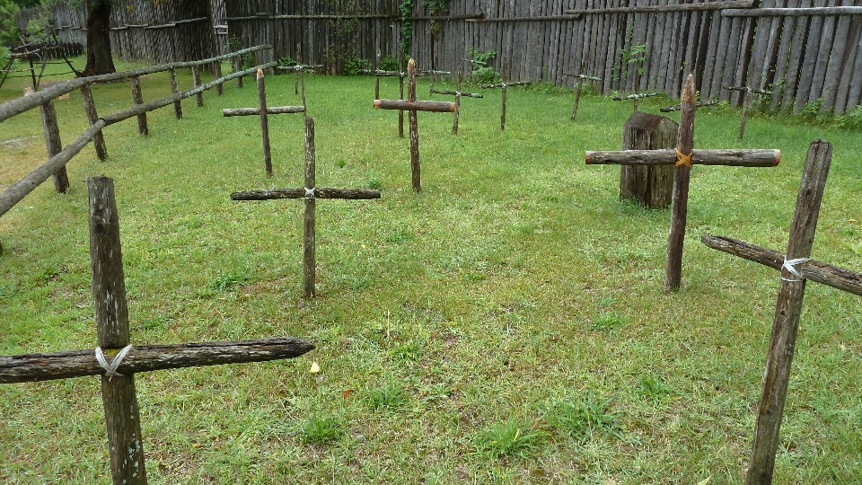 Rumput pagar peternakan padang rumput
