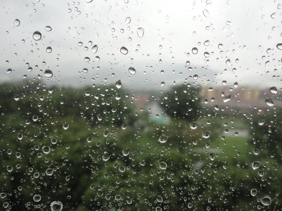 水 落とす 露 雨