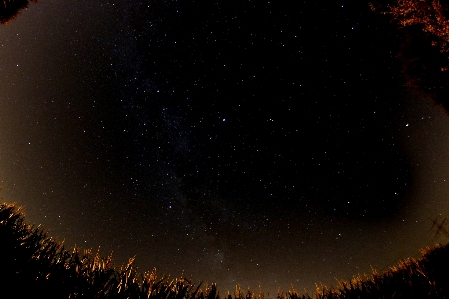 Foto Cielo notte stella via lattea
