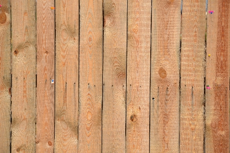 Tree wood texture plank Photo