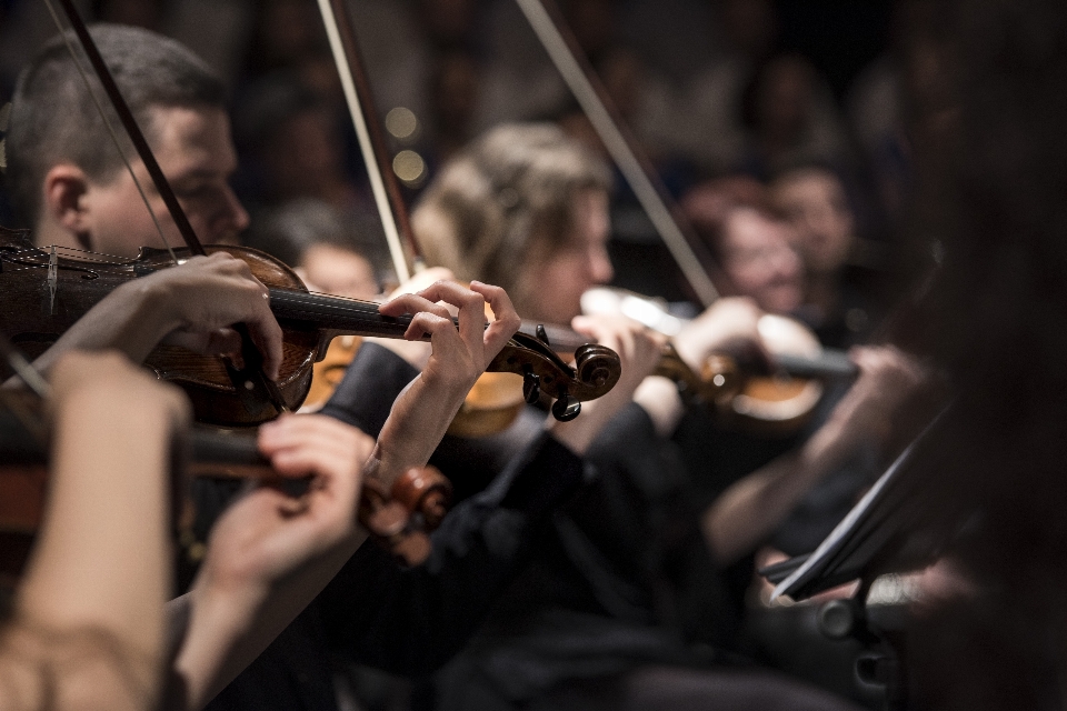 Personne musique concert public