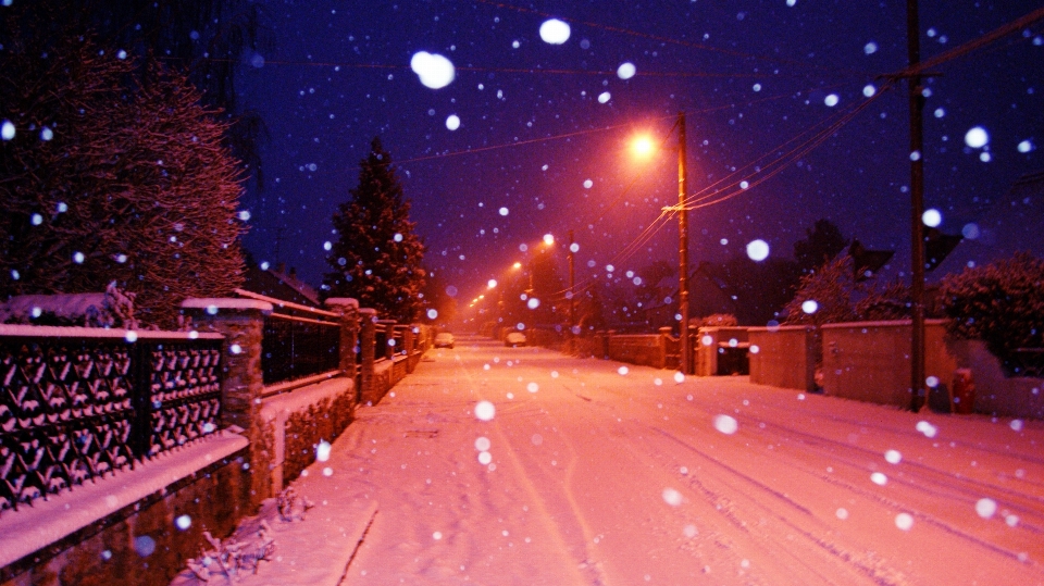 雪 寒冷的 冬天 追踪