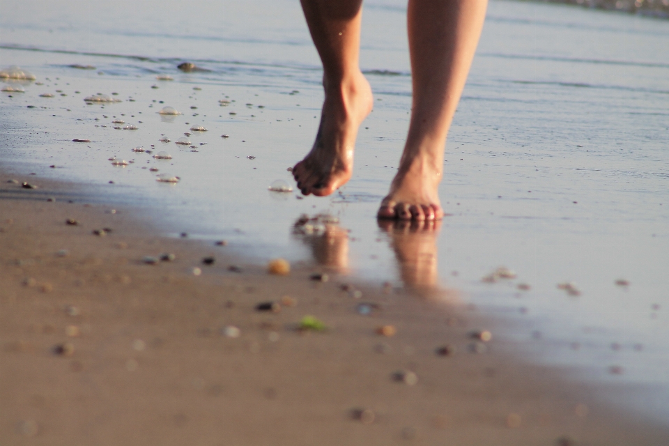 Beach sea water sand