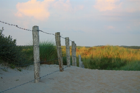 Landscape sand fence barbed wire Photo