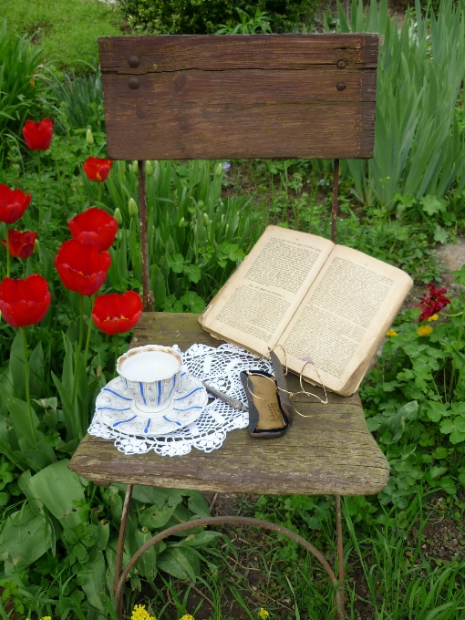 Mesa grama livro ler