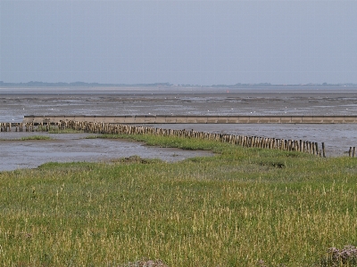 Beach sea coast water Photo