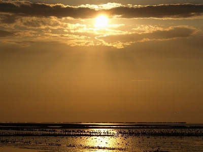 Beach sea coast ocean Photo