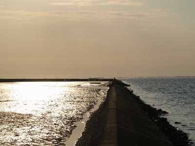 Beach sea coast water Photo