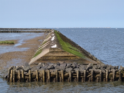 Sea coast bridge pier Photo