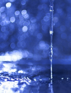 Water droplet drop liquid Photo