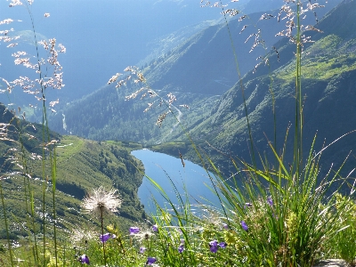 Landscape water nature grass Photo