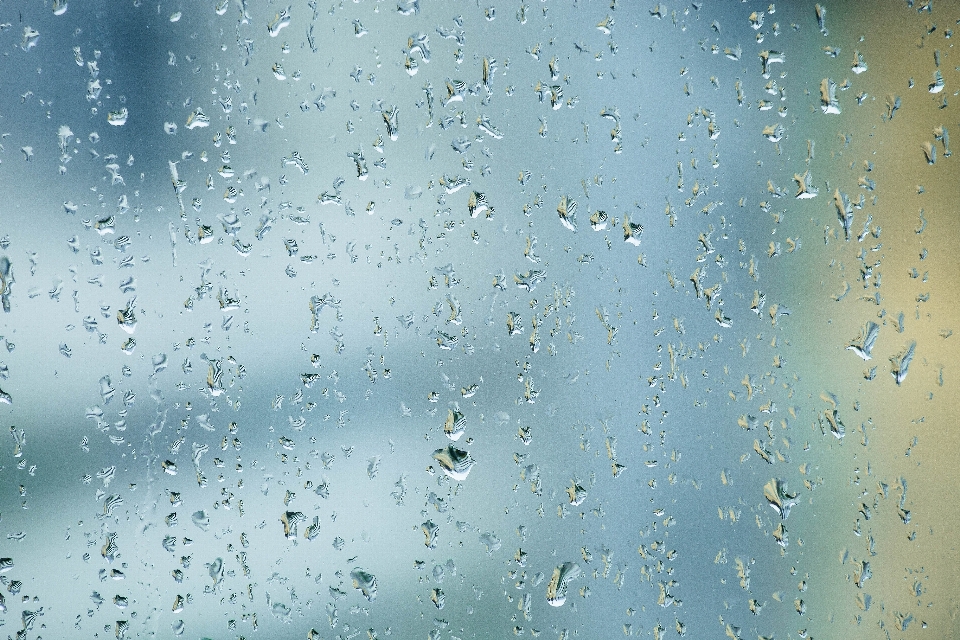 水 落とす 雨 葉