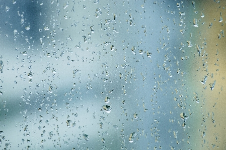 Water drop rain leaf Photo