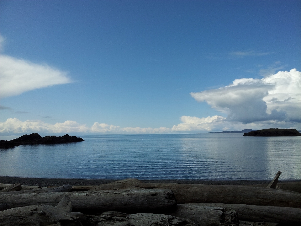 Beach sea coast water