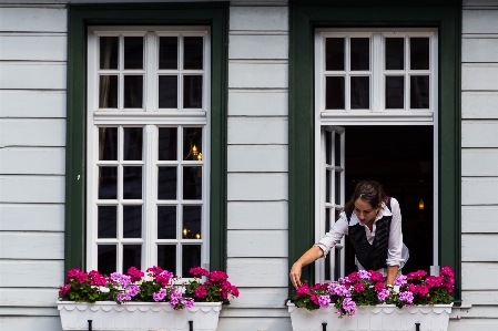 Woman flower window grow Photo