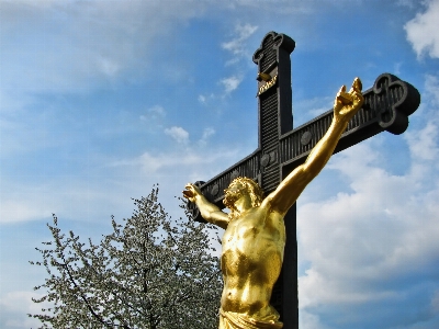 Tree sky monument statue Photo