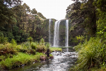 Foto Acqua foresta cascata fiume