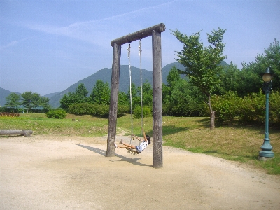 Nature park property swing Photo