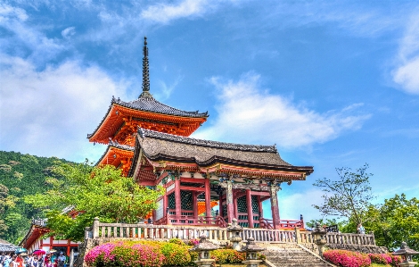 風景 水 建築 木 写真