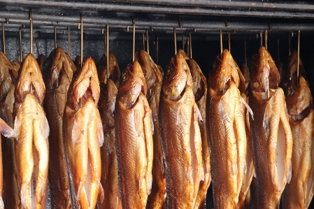 Foto Fumar prato comida culinária