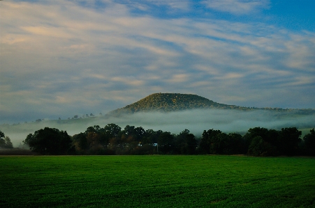 Landscape tree nature forest Photo