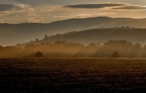 Landscape nature forest outdoor Photo