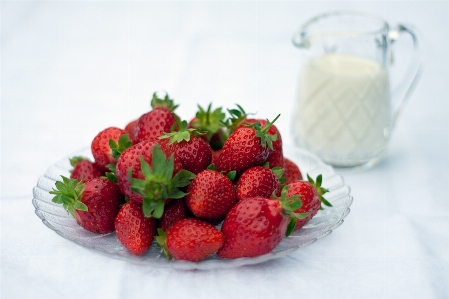 Plant raspberry fruit berry Photo