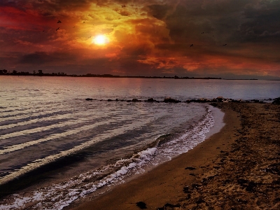 Beach landscape sea coast Photo